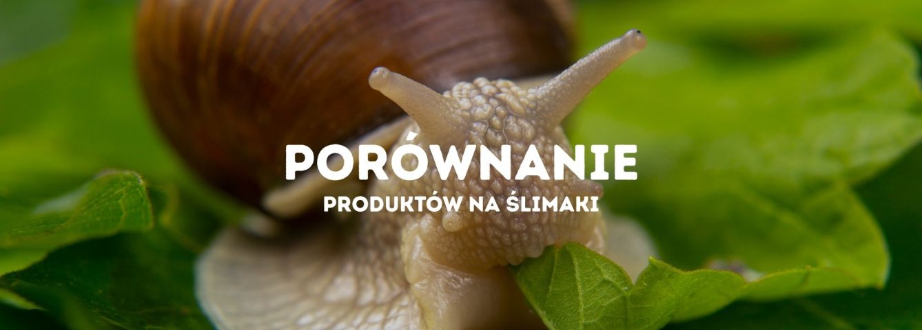 Porównanie produktów na ślimaki
